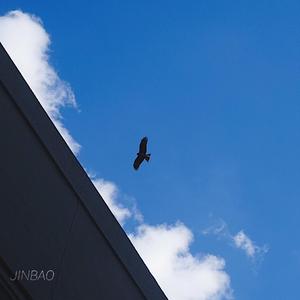 欧美孕妇交受❌❌❌高潮1
