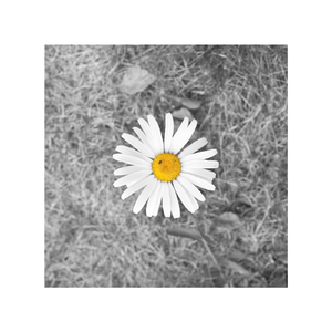 欧美孕妇交受❌❌❌高潮1
