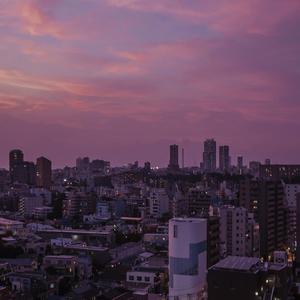 欧美孕妇交受❌❌❌高潮1
