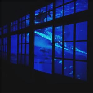 欧美孕妇交受❌❌❌高潮1
